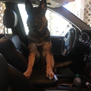 Meet your Posher, Thomas